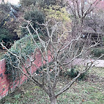 Photo n° 2 de l'avis de Lucie.e fait le 28/11/2023 à 16:05 pour debarre Jericho à Verrières-le-Buisson