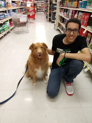 Pet Supply Store «Pet Supplies Plus», reviews and photos, 1258 Northlake Blvd, Lake Park, FL 33403, USA