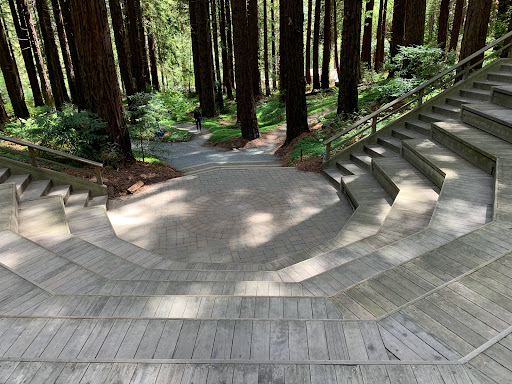 Redwood Grove Amphitheatre
