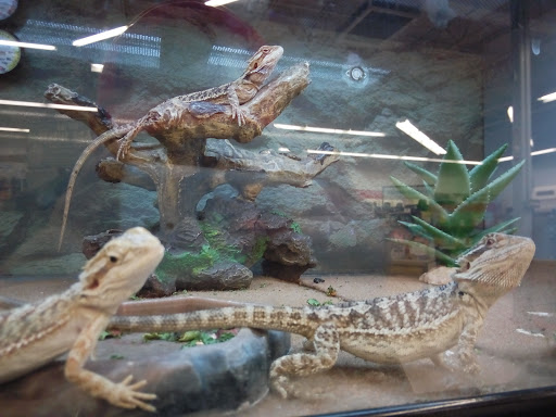 Pet Supply Store «Petco Animal Supplies», reviews and photos, 1901 Madison Ave #610, Mankato, MN 56001, USA