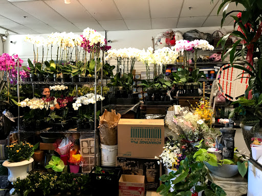 Florist «Absolutely Flowers & Balloons», reviews and photos, 10900 Westminster Ave # 4, Garden Grove, CA 92843, USA
