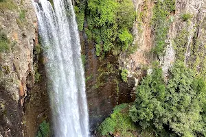 Queen Mary Falls image