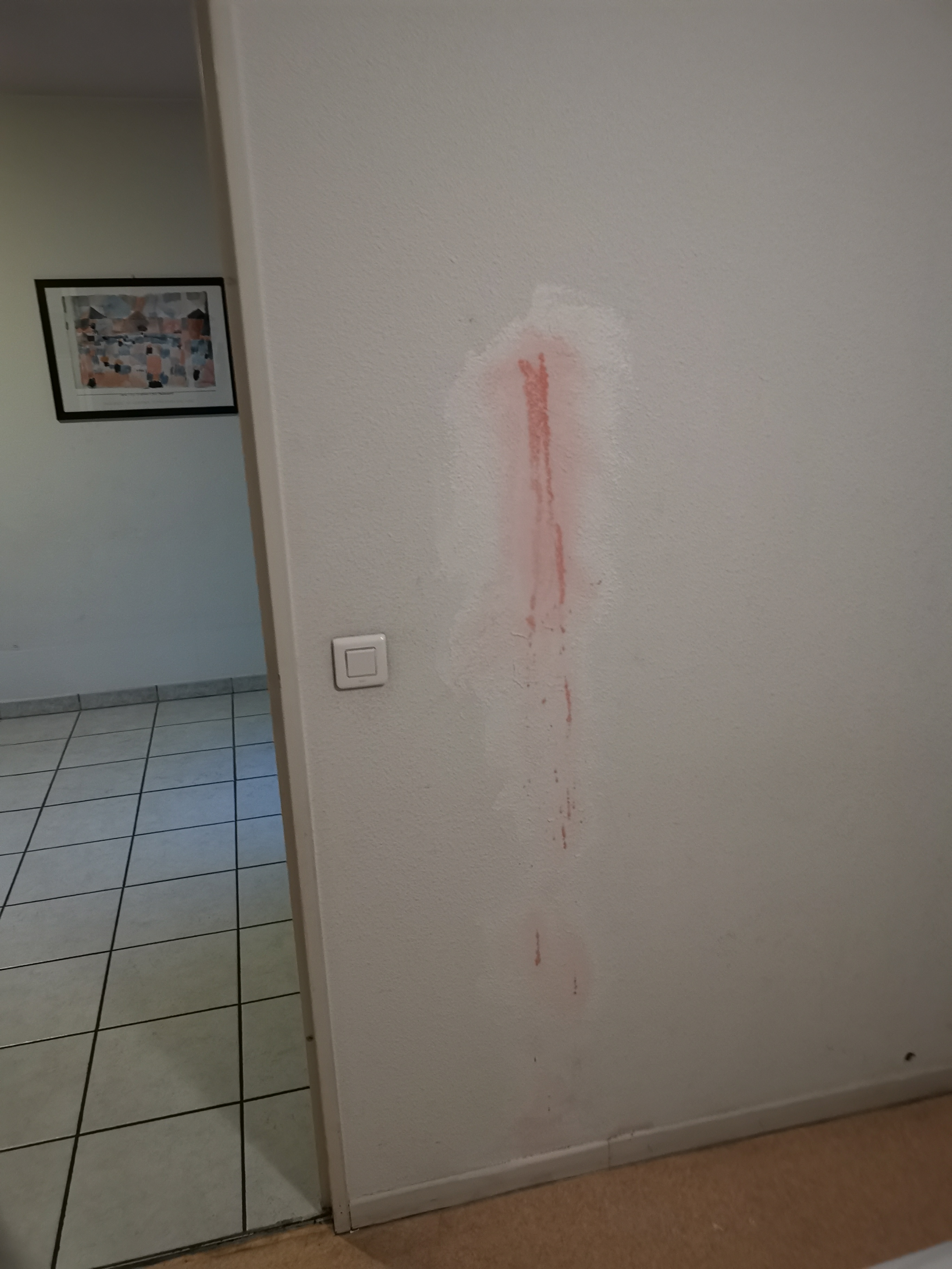 Photo n° 14 de l'avis de Yoann.e fait le 07/03/2019 à 09:48