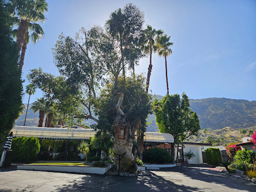 Melvyns Restaurant & Lounge image