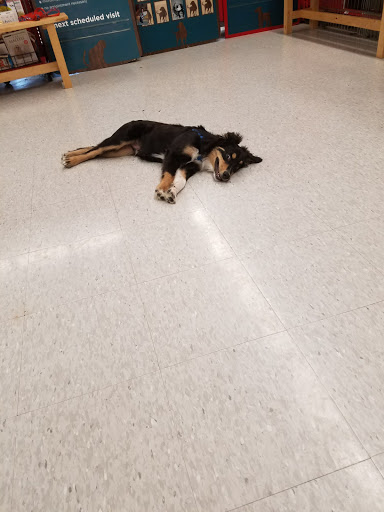 Pet Supply Store «Petco Animal Supplies», reviews and photos, 500 E Sandford Blvd #570, Mt Vernon, NY 10550, USA