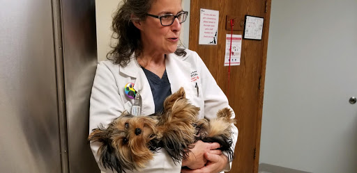 Bay Area Pet Hospital image