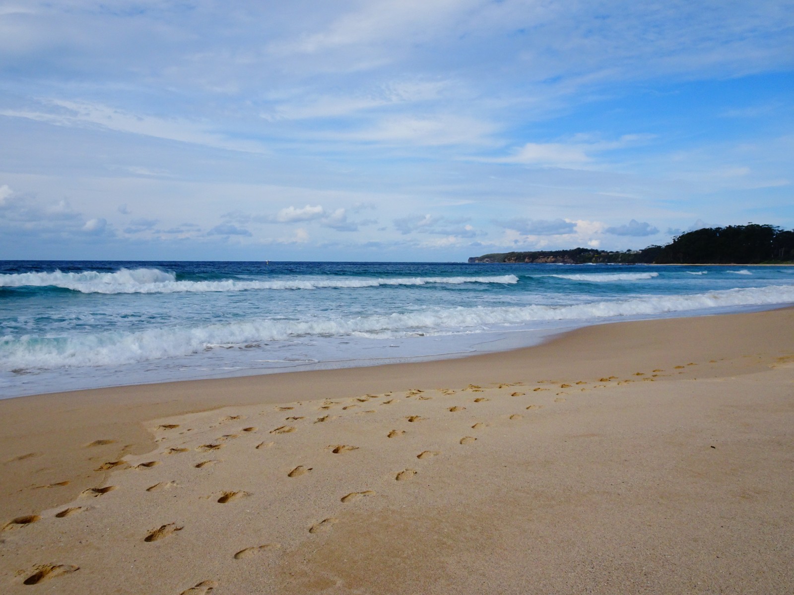 Foto van Werri Beach met blauw puur water oppervlakte