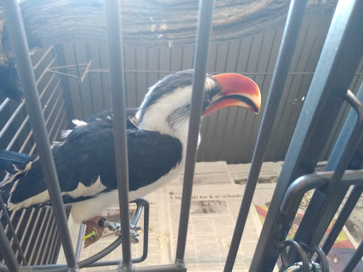 Pet Store «Wildside Pets», reviews and photos, 1042 N Higley Rd #105, Mesa, AZ 85205, USA