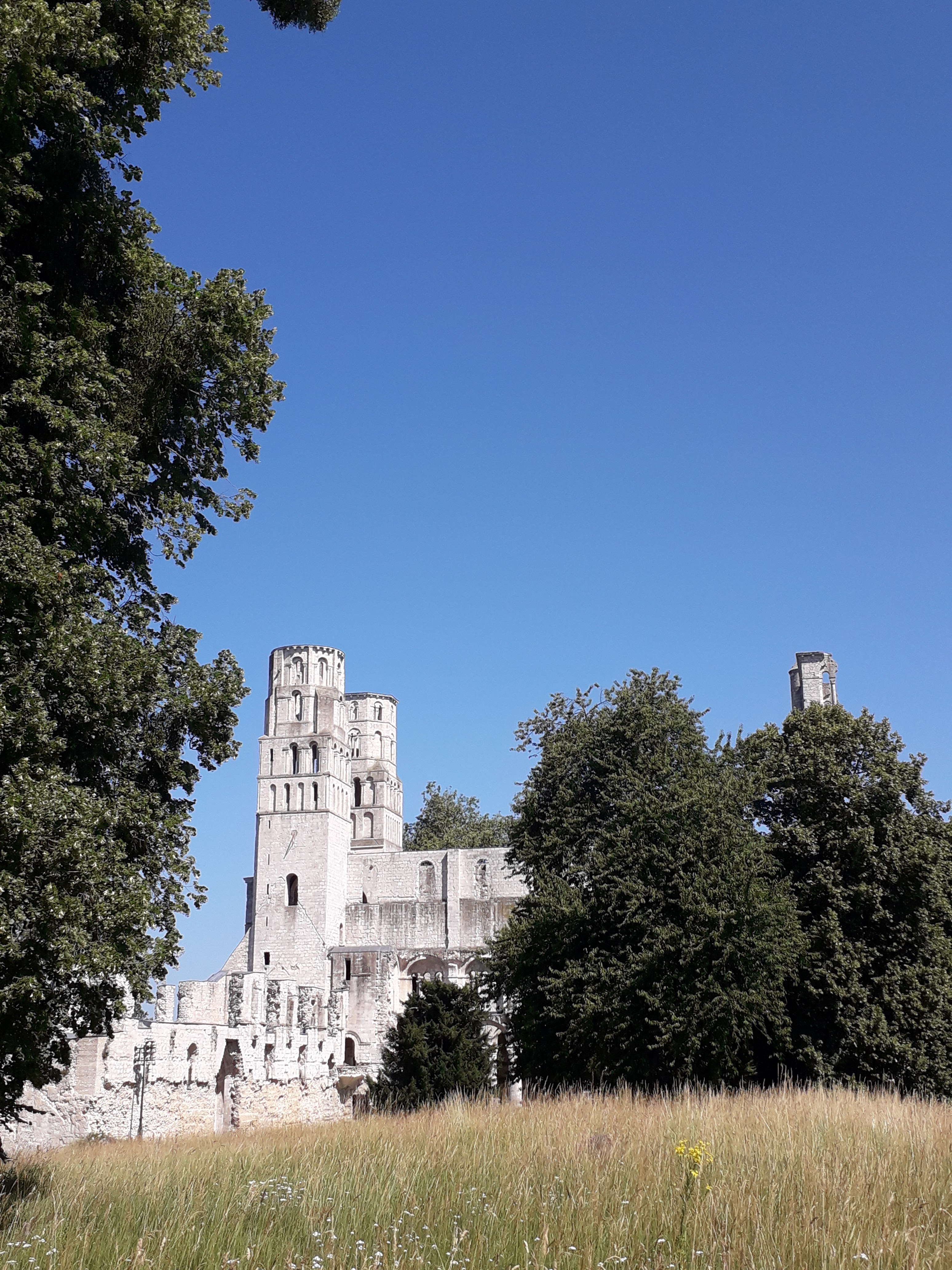 Photo n° 18 de l'avis de Le.o fait le 25/06/2023 à 12:17