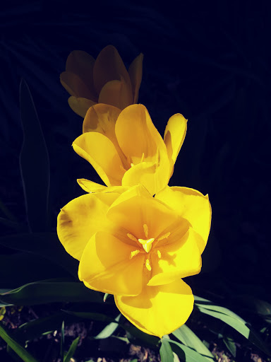 Hardware Store «Clark-Devon Hardware», reviews and photos, 6401 N Clark St, Chicago, IL 60626, USA