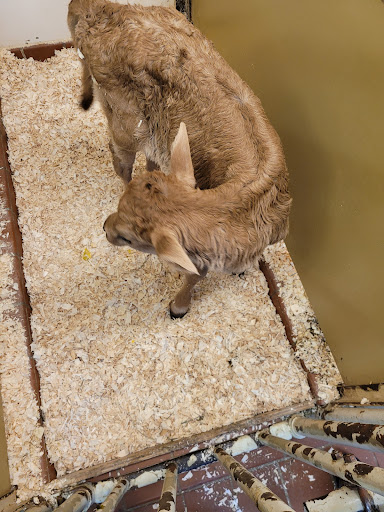 Historical Place «Marsh-Billings-Rockefeller National Historical Park», reviews and photos, 54 Elm St, Woodstock, VT 05091, USA