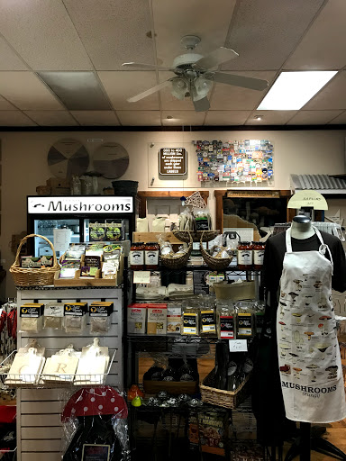 Gift Shop «The Mushroom Cap», reviews and photos, 114 W State St, Kennett Square, PA 19348, USA