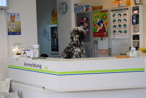 Kleintierpraxis Dr. med. vet. A. Kretschmer unter Hildesheim, Niedersachsen