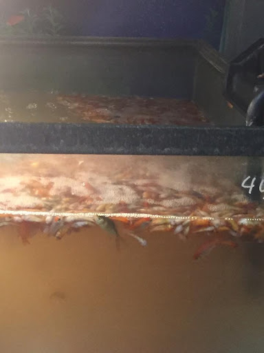 Pet Supply Store «College Greens Pet Center», reviews and photos, 3311 Julliard Dr # A, Sacramento, CA 95826, USA