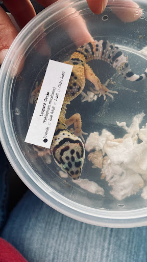 Pet Store «Petsense Pine Bluff», reviews and photos, 5514 S Olive St, Pine Bluff, AR 71603, USA