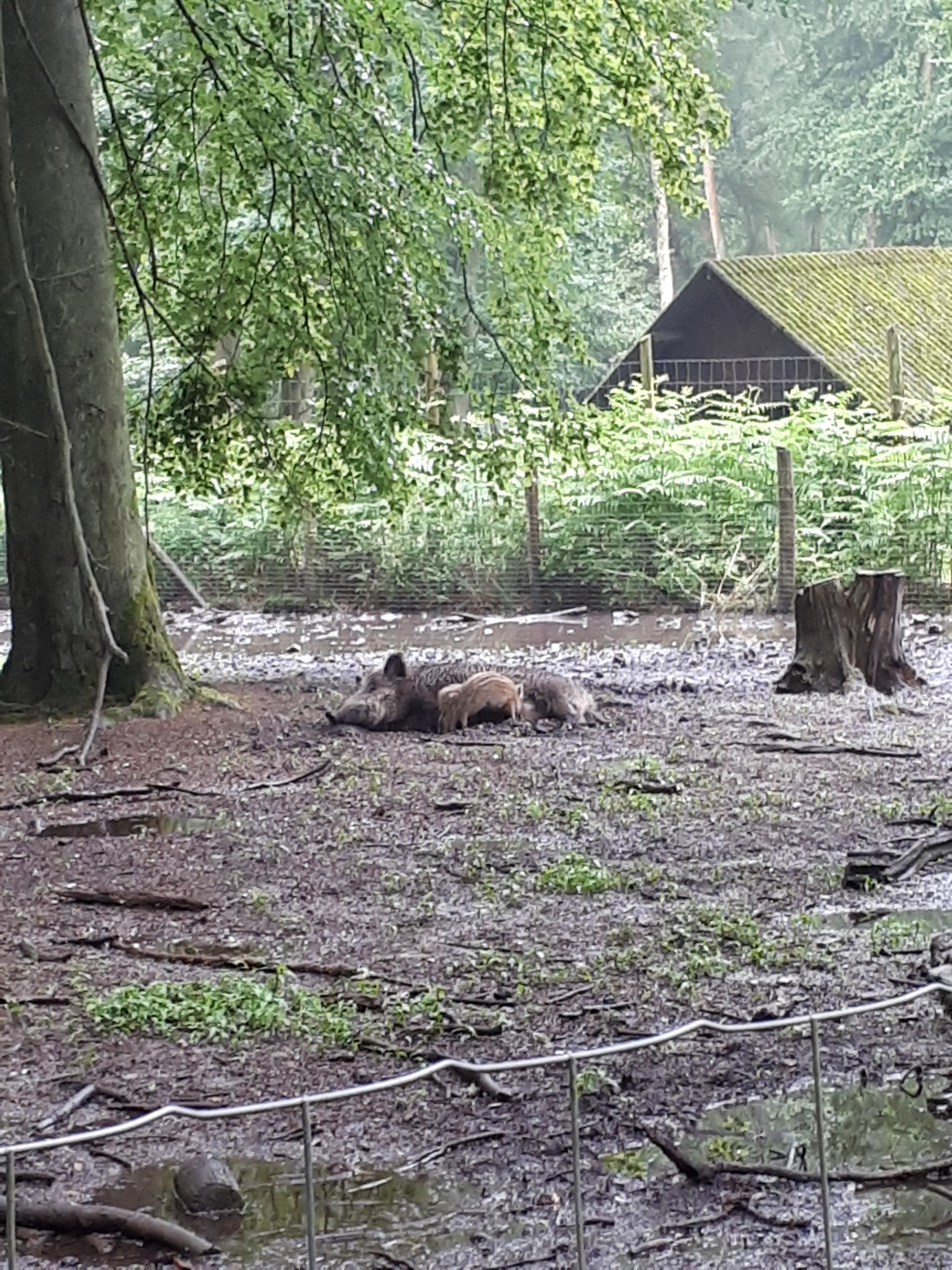 Photo n° 2 de l'avis de Davy.r fait le 05/06/2018 à 16:33