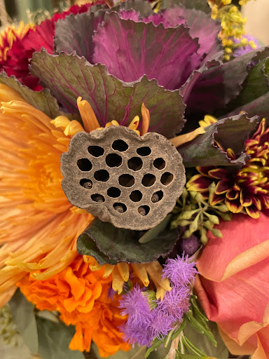 Florist «Plantscapes Florist», reviews and photos, 513 Stewart St b, Charlottesville, VA 22902, USA