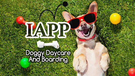 IAPP Dog Daycare And Boarding / IAPP Dog Care