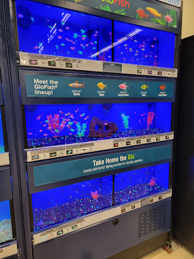 Pet Supply Store «Petco Animal Supplies», reviews and photos, 1514 Country Road 220, Fleming Island, FL 32003, USA