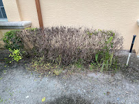 Bug Assassin Pest Management, LLC - Photo 5 - Car repair in , Palm Bay