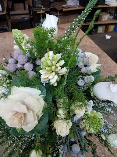 Florist «Axelrod Flowers», reviews and photos, 4429 Whitaker Ave, Philadelphia, PA 19120, USA