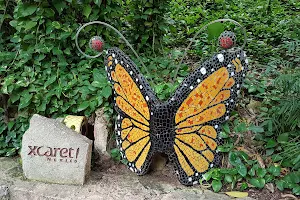 Mariposario de Xcaret image