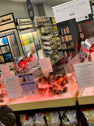 Hardware Store «Cypress Ace Hardware», reviews and photos, 11655 Jones Rd, Houston, TX 77070, USA