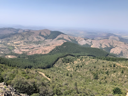 Cerro Gupo