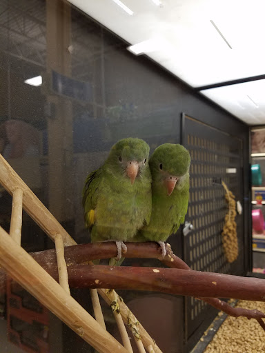 Pet Supply Store «PetSmart», reviews and photos, 6100 Arlington Blvd, Falls Church, VA 22044, USA