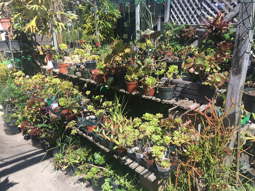 Plant Nursery «Bonita Nursery & Florists», reviews and photos, 3510 Santa Fe Ave, Long Beach, CA 90810, USA