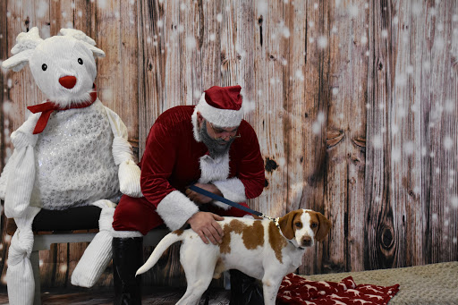 Pet Supply Store «Thomaston Feed of Cheshire», reviews and photos, 851 S Main St, Cheshire, CT 06410, USA