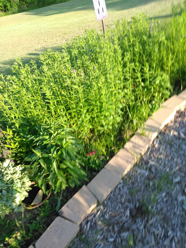 Park «Coloma Township Park District», reviews and photos, 510 E 11th St, Rock Falls, IL 61071, USA