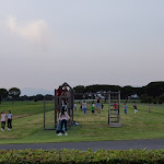 Photo n°3 de l'avis de Marco.n fait le 13/06/2019 à 07:44 sur le  La Taverna Del Grillo à Pisa