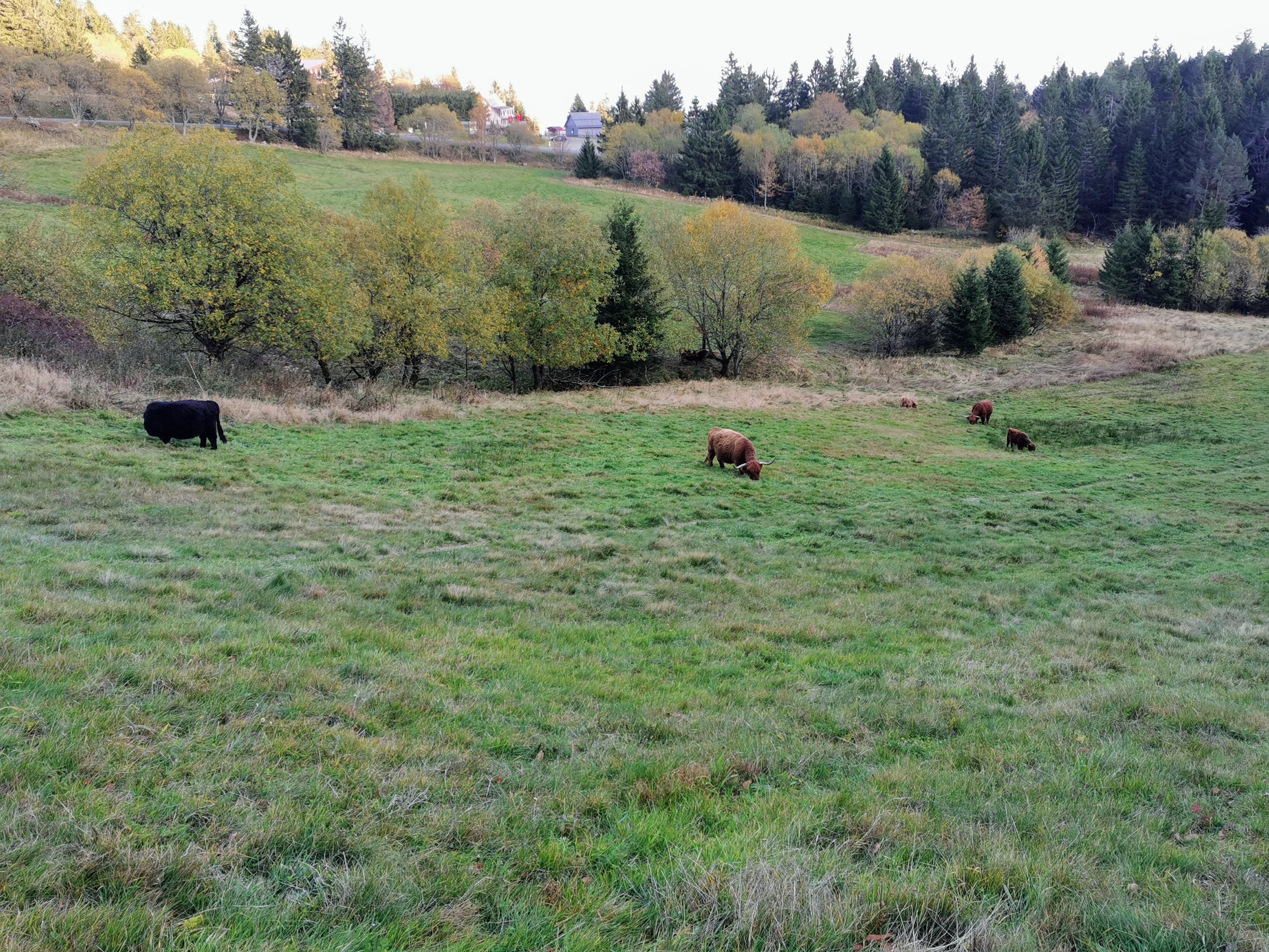 Photo n° 8 de l'avis de Guillaume.o fait le 28/10/2021 à 15:22