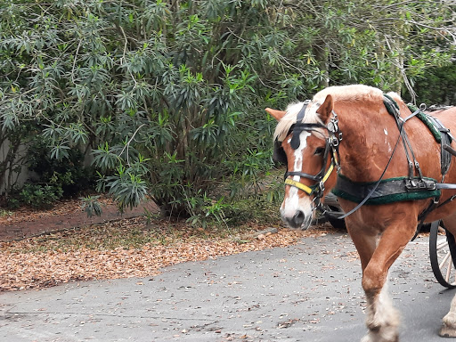 Museum «Davenport House Museum», reviews and photos, 324 E State St, Savannah, GA 31401, USA