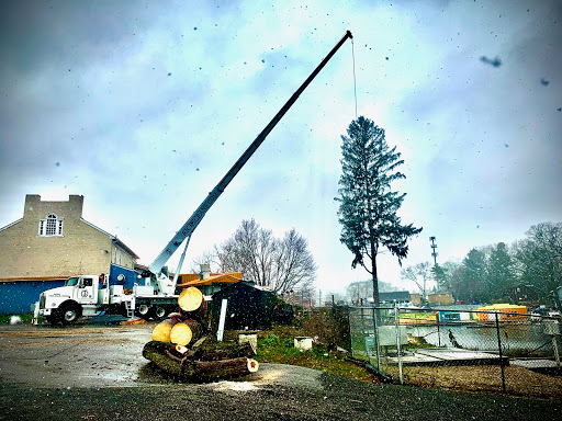 Crane dealer Akron