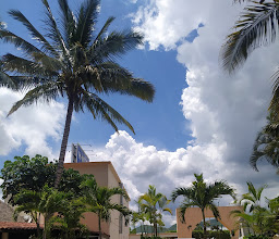 Hotel Palapa Palace photo