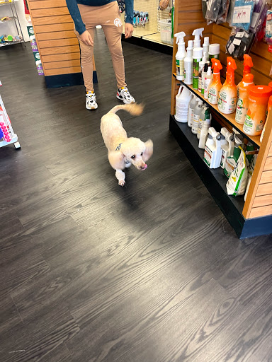 Pet Supply Store «Animal House Grooming & Quality», reviews and photos, 229 W Absecon Blvd, Absecon, NJ 08201, USA