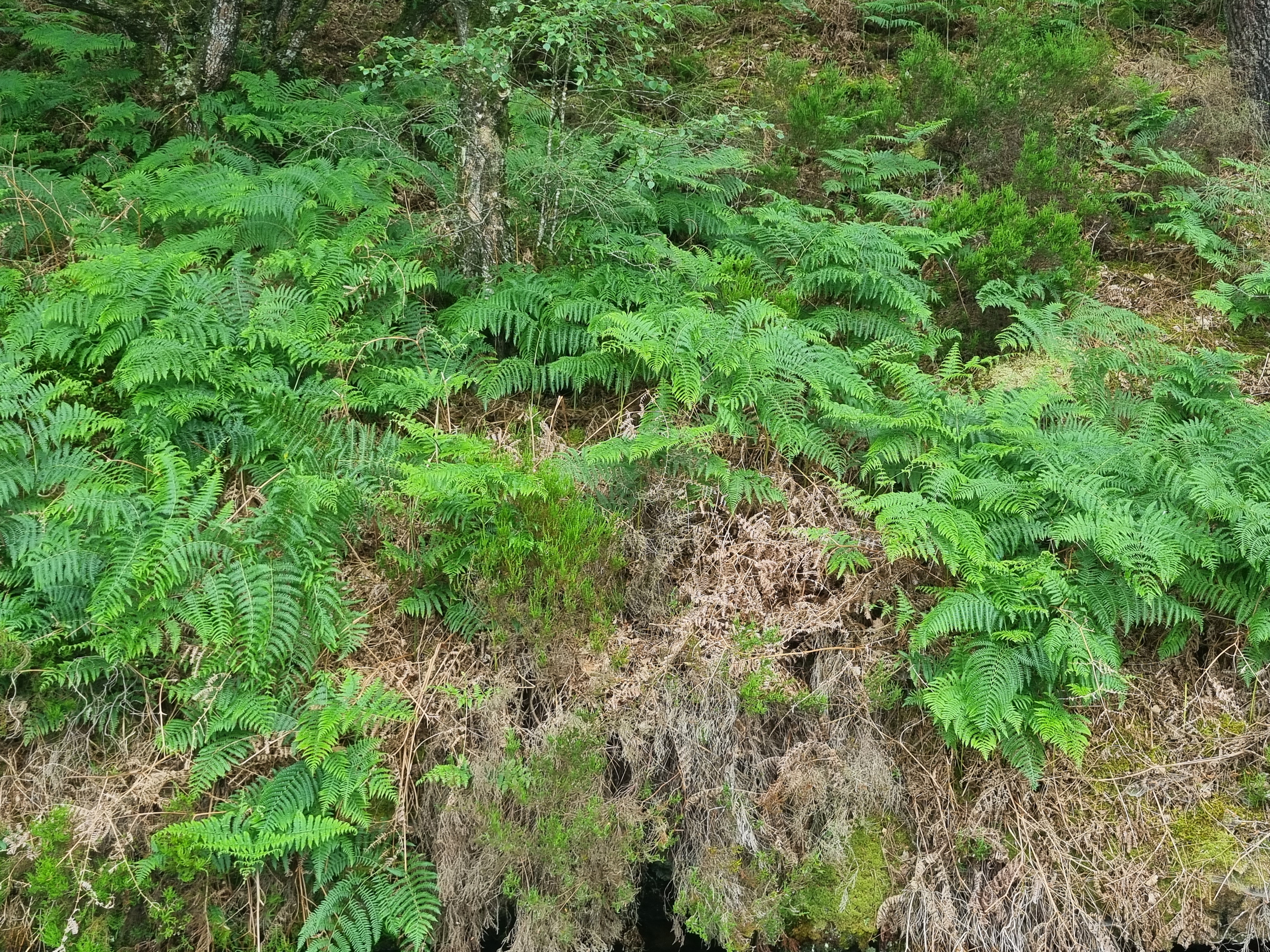 Photo n° 3 de l'avis de JENNAH.A fait le 10/06/2023 à 23:14