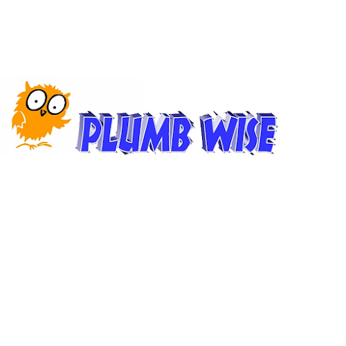 Plumb Wise - Lincoln