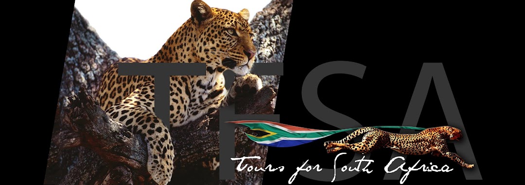 Tours for South Africa