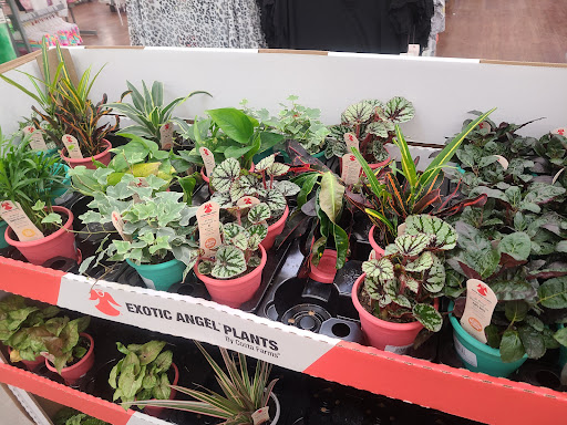 Department Store «Walmart Supercenter», reviews and photos, 7500 US-209, Napanoch, NY 12458, USA