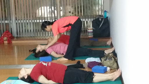 yoga evolution 瑜伽