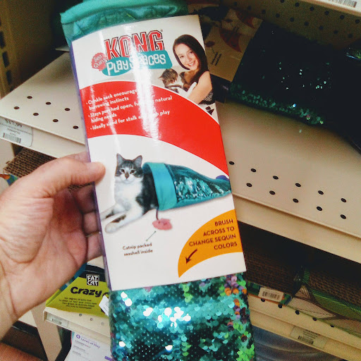 Pet Store «Pet Supermarket, Inc.», reviews and photos, 1938 FL-44 #40, New Smyrna Beach, FL 32168, USA