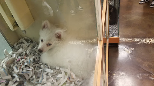 Pet Store «Barkworks», reviews and photos, 1118 Galleria At Tyler, Riverside, CA 92503, USA