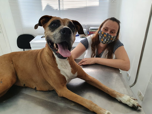 Medicina Animal em Taubaté - SP