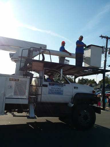Discount Store «Dollar General», reviews and photos, 123 S West St, Tipton, IN 46072, USA