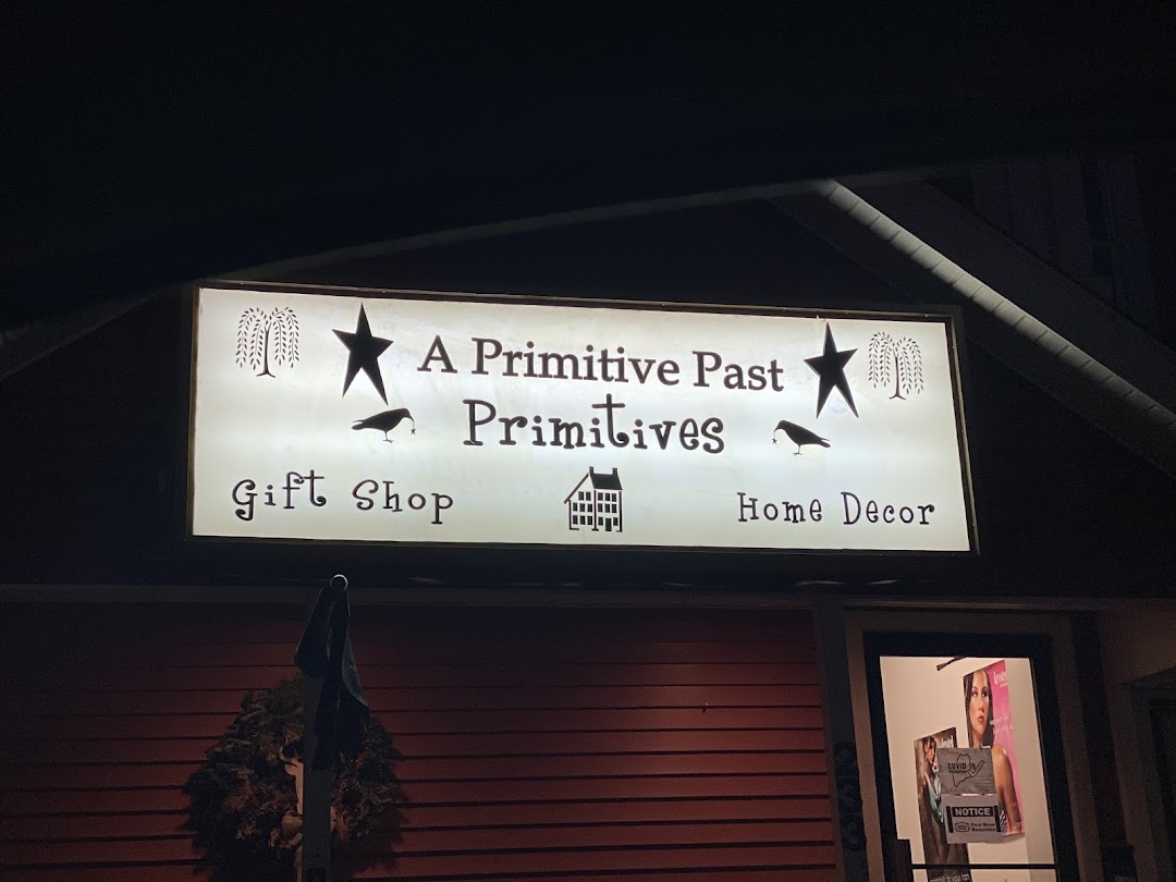 Primitive Past