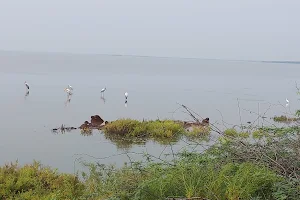 Pulicat Lake image