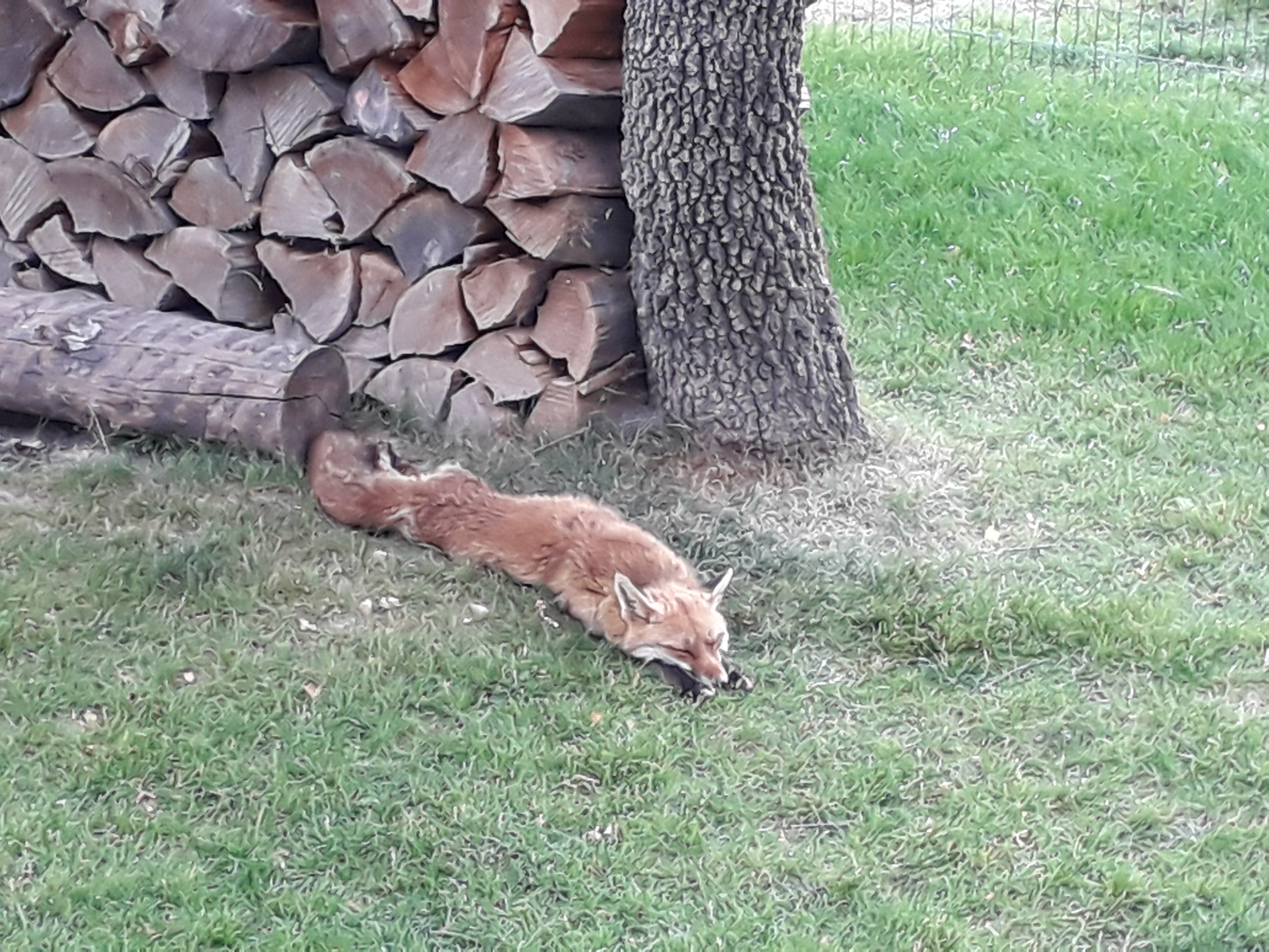 Photo n° 2 de l'avis de Freddy.E fait le 13/07/2021 à 19:58